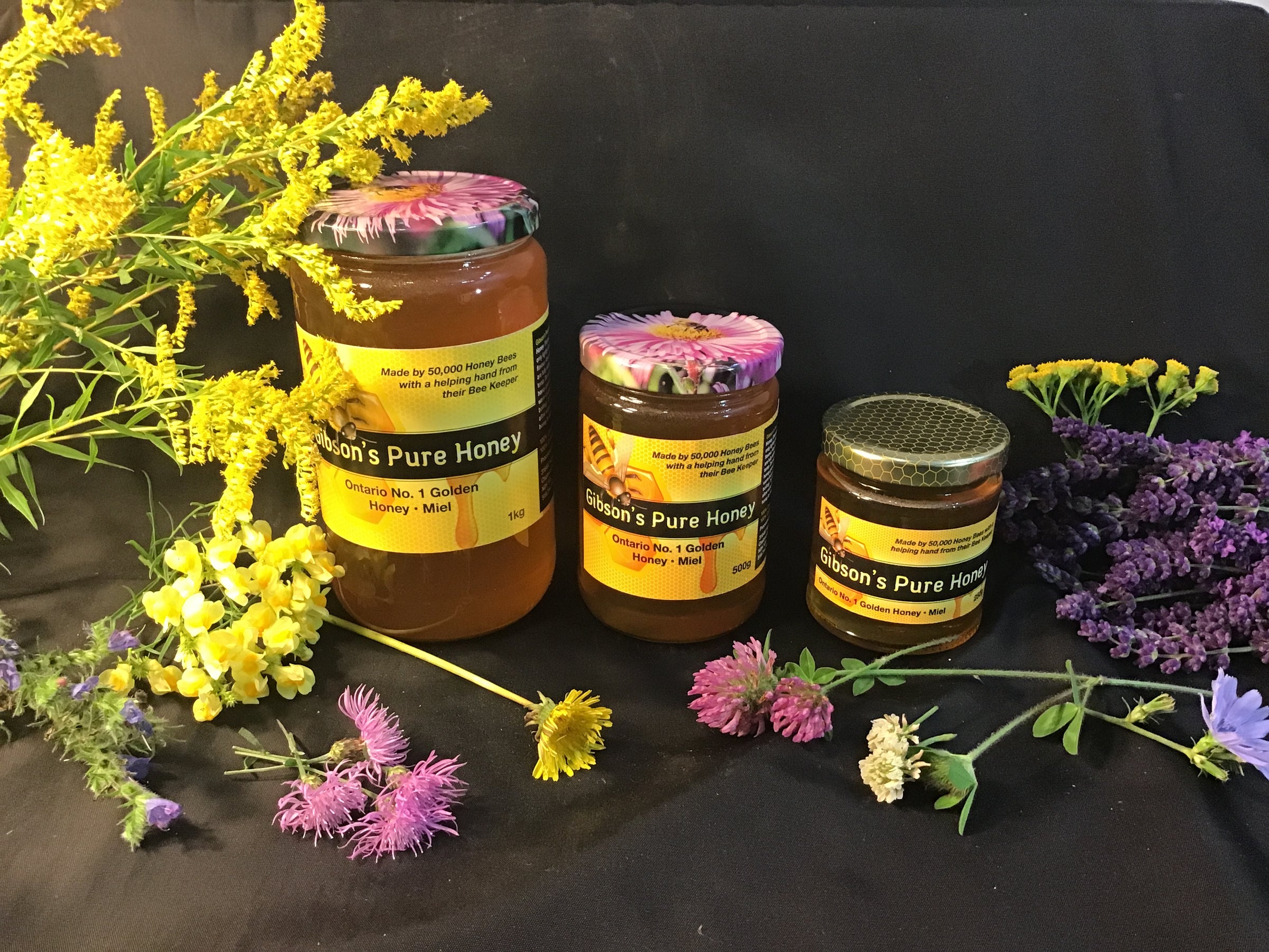 【J6036】54 NUDE HONEYS/ANIMAL GIRL Wildflower Honey | Gibson's Pure Honey