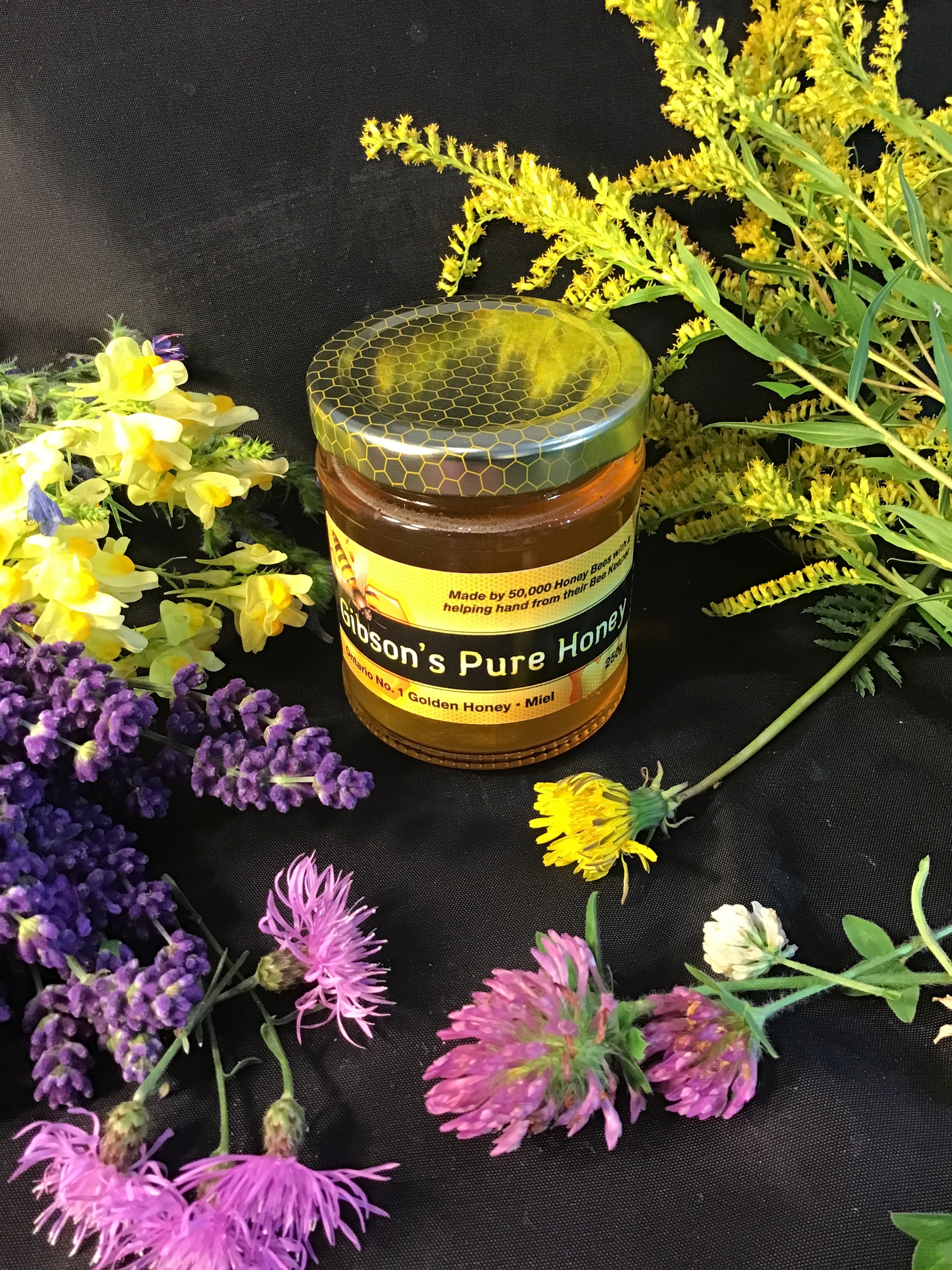 Wildflower Honey | Gibson's Pure Honey