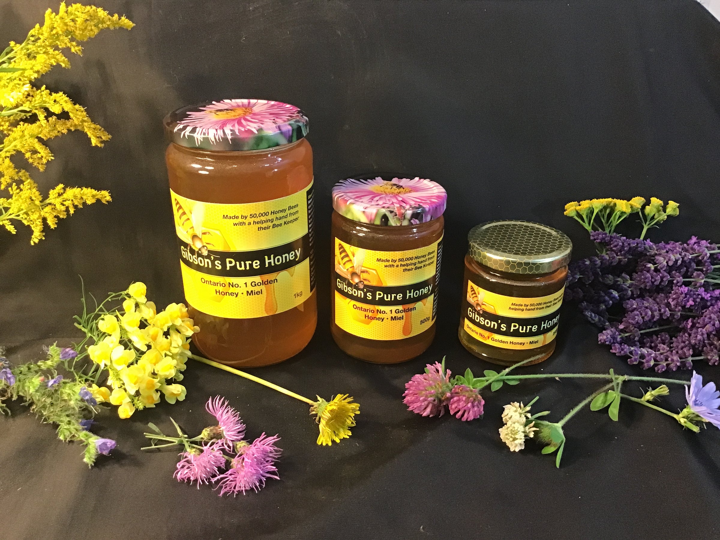 Wildflower Honey | Gibson's Pure Honey